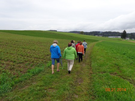 links die abgernteten Brennessel