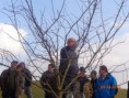 /album/obstbaumschnittkurs/dsc00475-jpg/