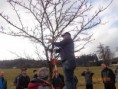/album/obstbaumschnittkurs/dsc00485-jpg/