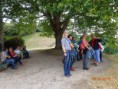 /album/ausflug-nach-linz-am-20-august-2015/dsc00681-jpg/