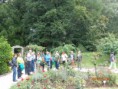 /album/ausflug-nach-linz-am-20-august-2015/dsc00702-jpg/